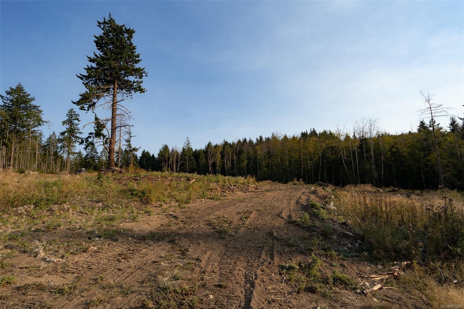 









547


Beddis

Rd,
Salt Spring,







BC
V8K 2E8

