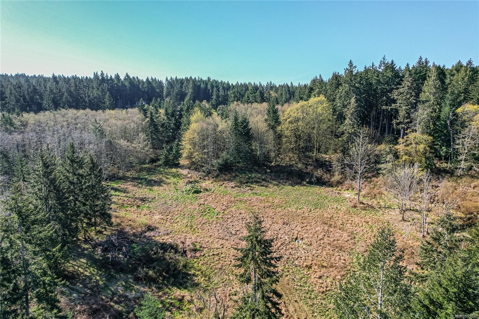 









547


Beddis

Rd,
Salt Spring,







BC
V8K 2E8

