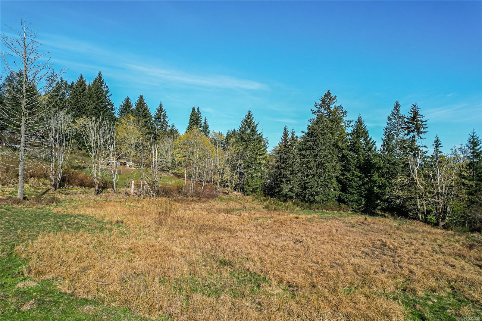 









547


Beddis

Rd,
Salt Spring,







BC
V8K 2E8

