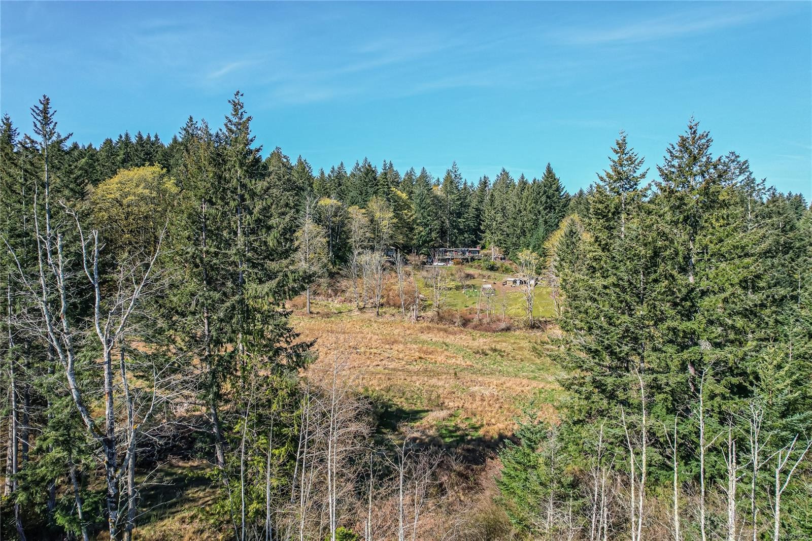 









547


Beddis

Rd,
Salt Spring,







BC
V8K 2E8

