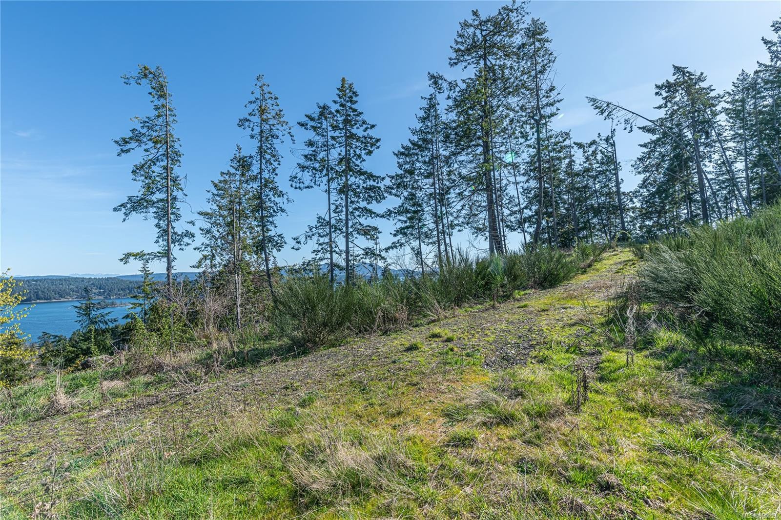 









547


Beddis

Rd,
Salt Spring,







BC
V8K 2E8

