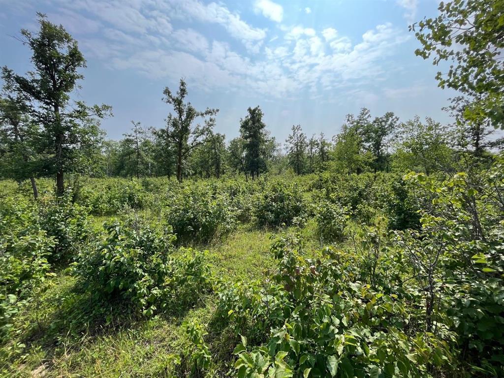 












2 49N Road

,
Ste Anne,







Manitoba
R5H1B6

