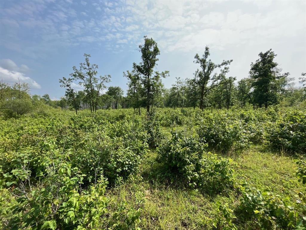 












2 49N Road

,
Ste Anne,







Manitoba
R5H1B6

