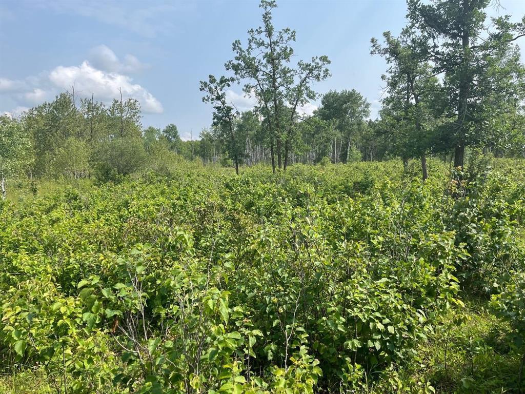 












2 49N Road

,
Ste Anne,







Manitoba
R5H1B6

