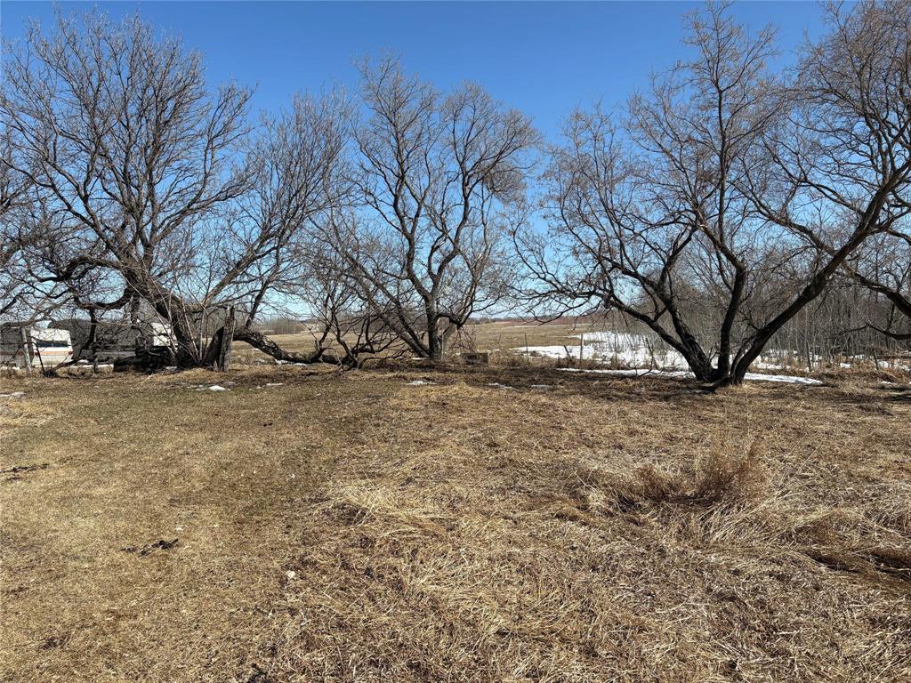 












79158 Maple Avenue

,
Hamiota,




Manitoba
R0M0T0

