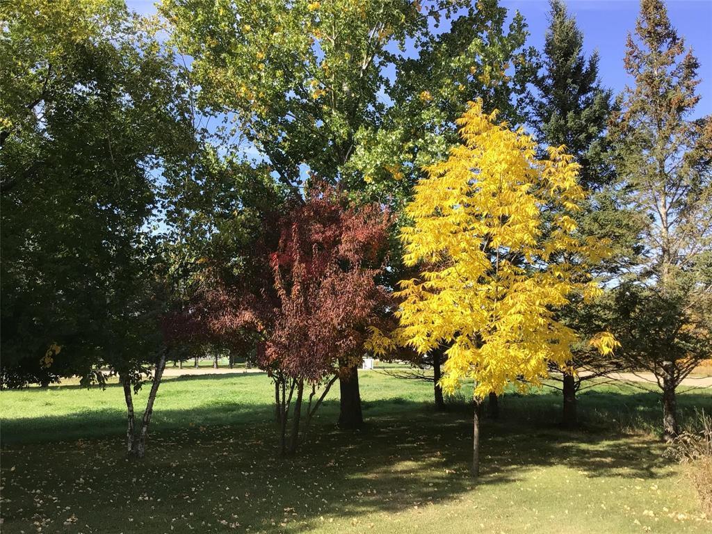 












79158 Maple Avenue

,
Hamiota,




Manitoba
R0M0T0

