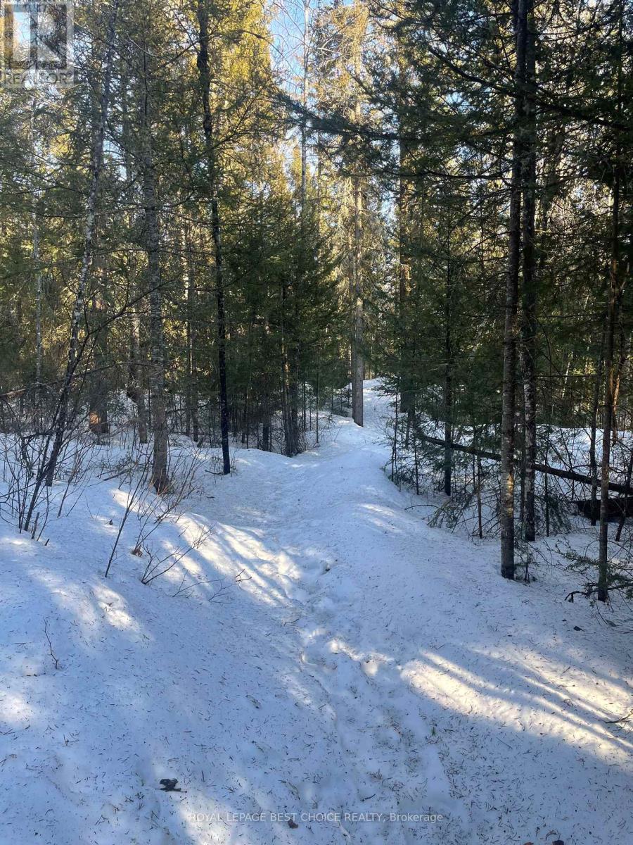 












468505 5 ROAD

,
Chamberlain,




Ontario
P0J1H0

