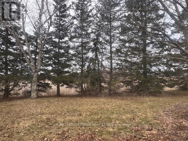 












3725 CONCESSION 1 ROAD

,
Clarington,







Ontario
L1B0G1

