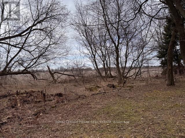 












3725 CONCESSION 1 ROAD

,
Clarington,







Ontario
L1B0G1

