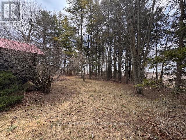 












3725 CONCESSION 1 ROAD

,
Clarington,







Ontario
L1B0G1

