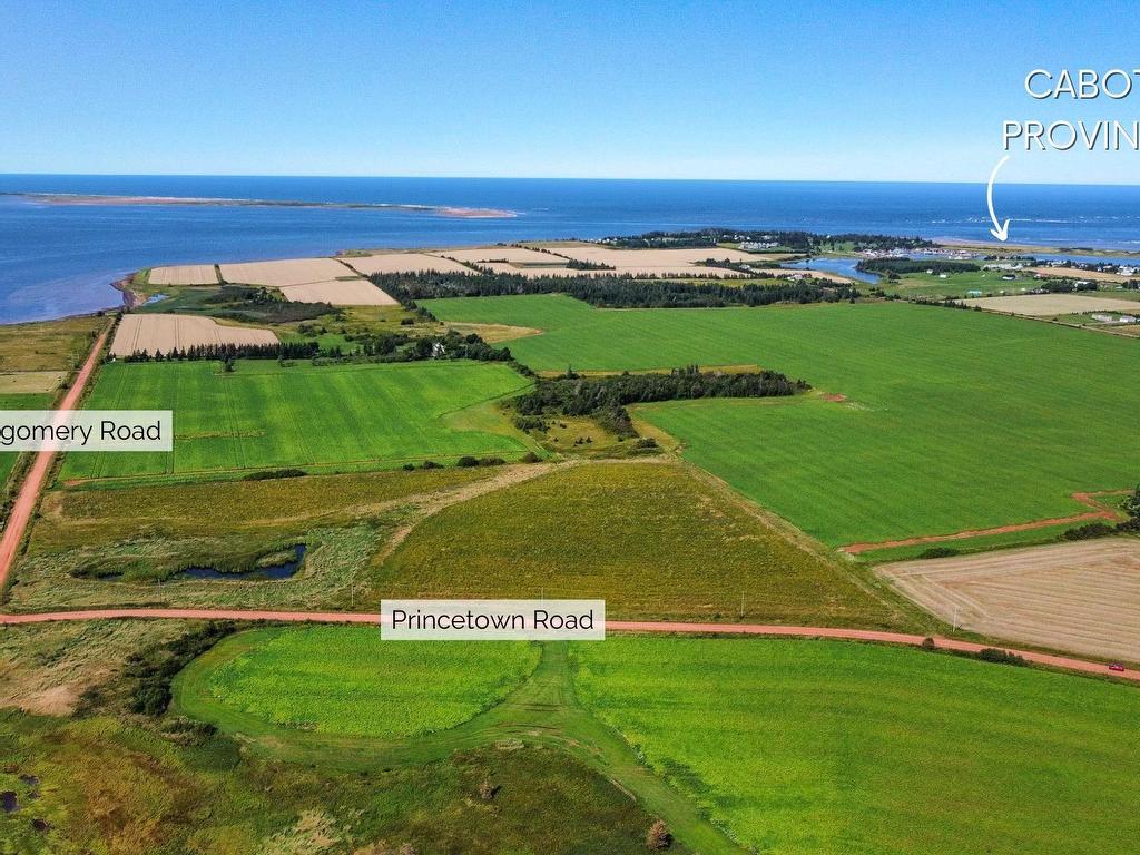 












0 Blue Waters Lane

,
Malpeque,







PE
C0A 1M0

