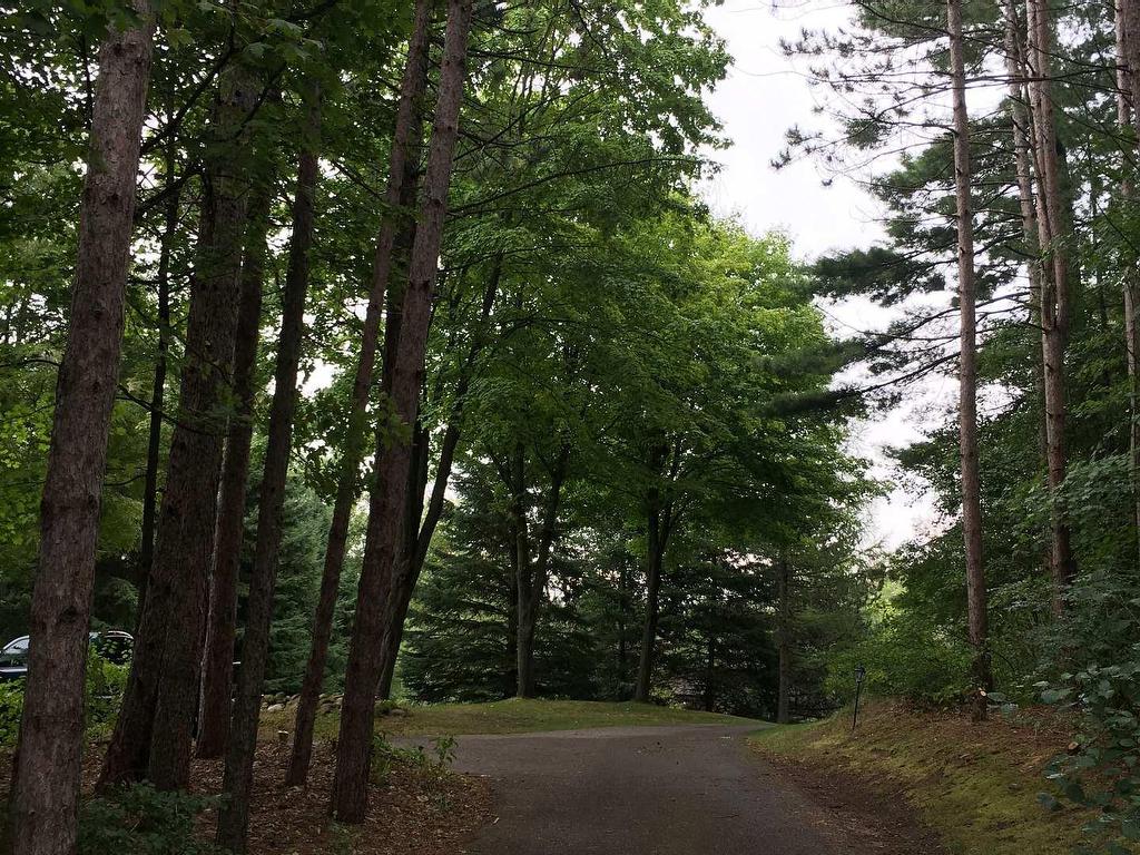 









12


Damascus

Drive,
Caledon,




ON
L7C 0A4

