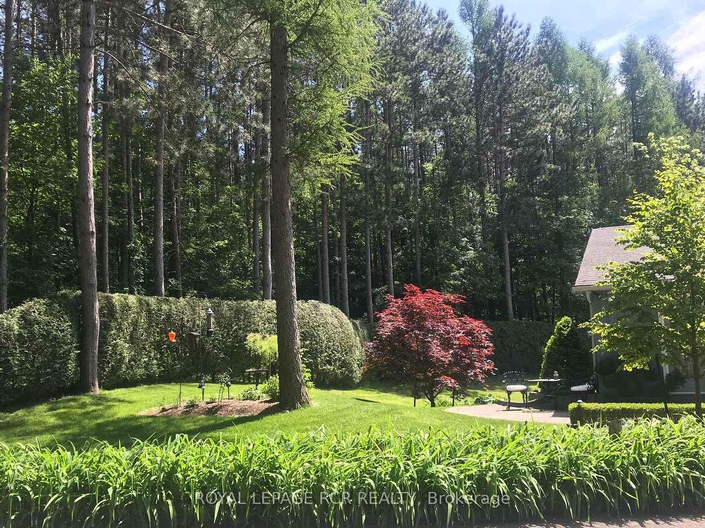 









12


Damascus

Drive,
Caledon,




ON
L7C 0A4

