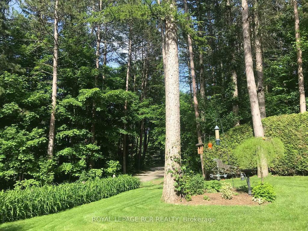 









12


Damascus

Drive,
Caledon,




ON
L7C 0A4


