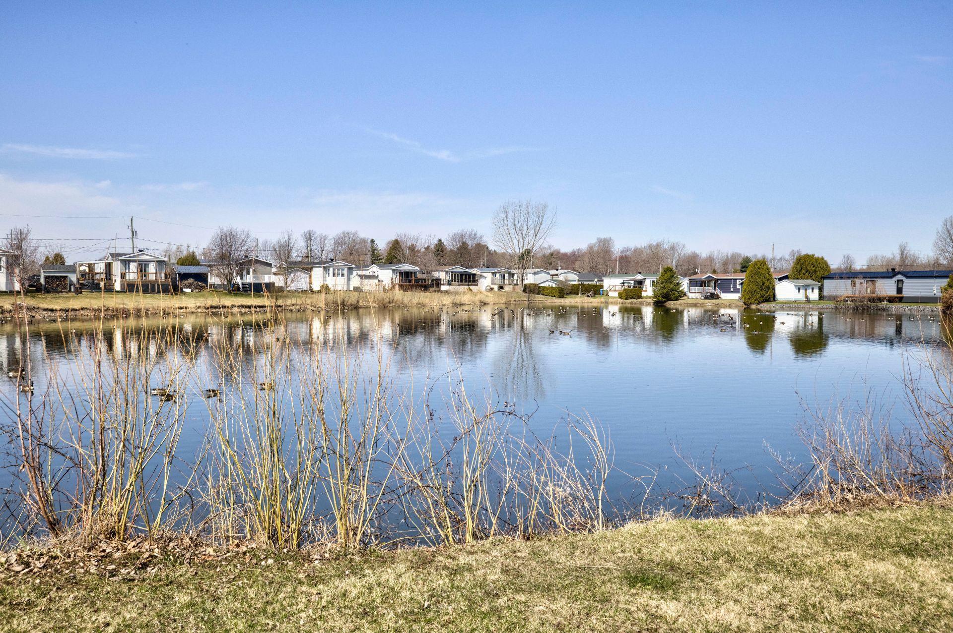 









21


Av. Bruno

,
Saint-Cyprien-de-Napierville,




QC
J0J1L0

