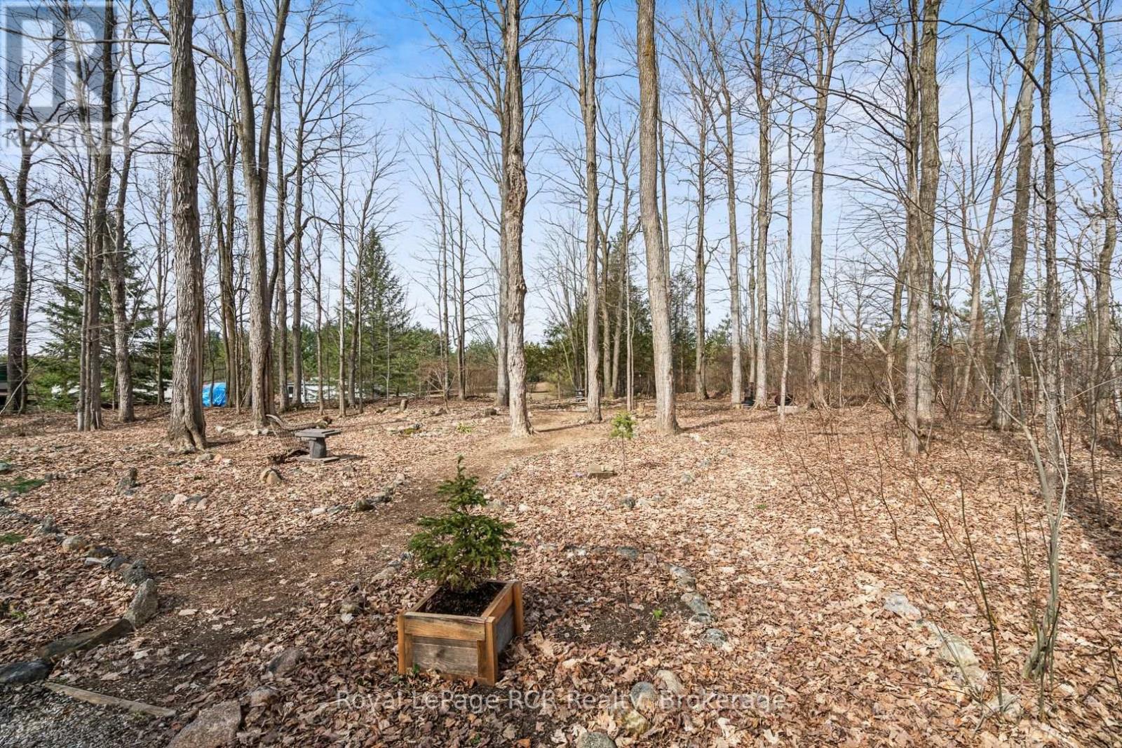 












117 MCCULLOUGH LAKE DRIVE

,
Chatsworth,




Ontario
N0H2V0

