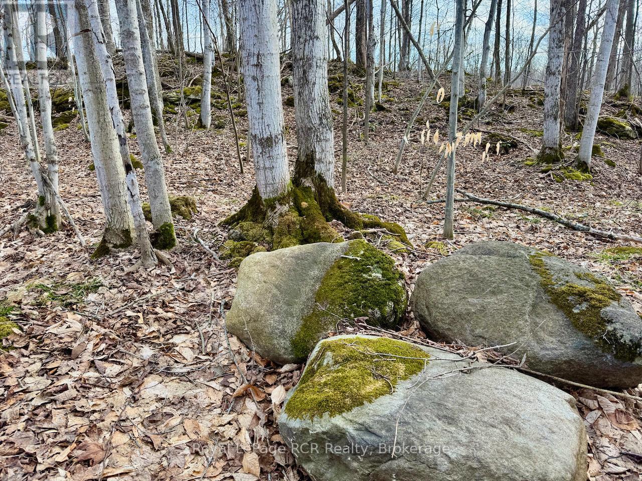 












PT LT 6 BRUCE ROAD 9 ROAD

,
Northern Bruce Peninsula,







Ontario
N0H1W0

