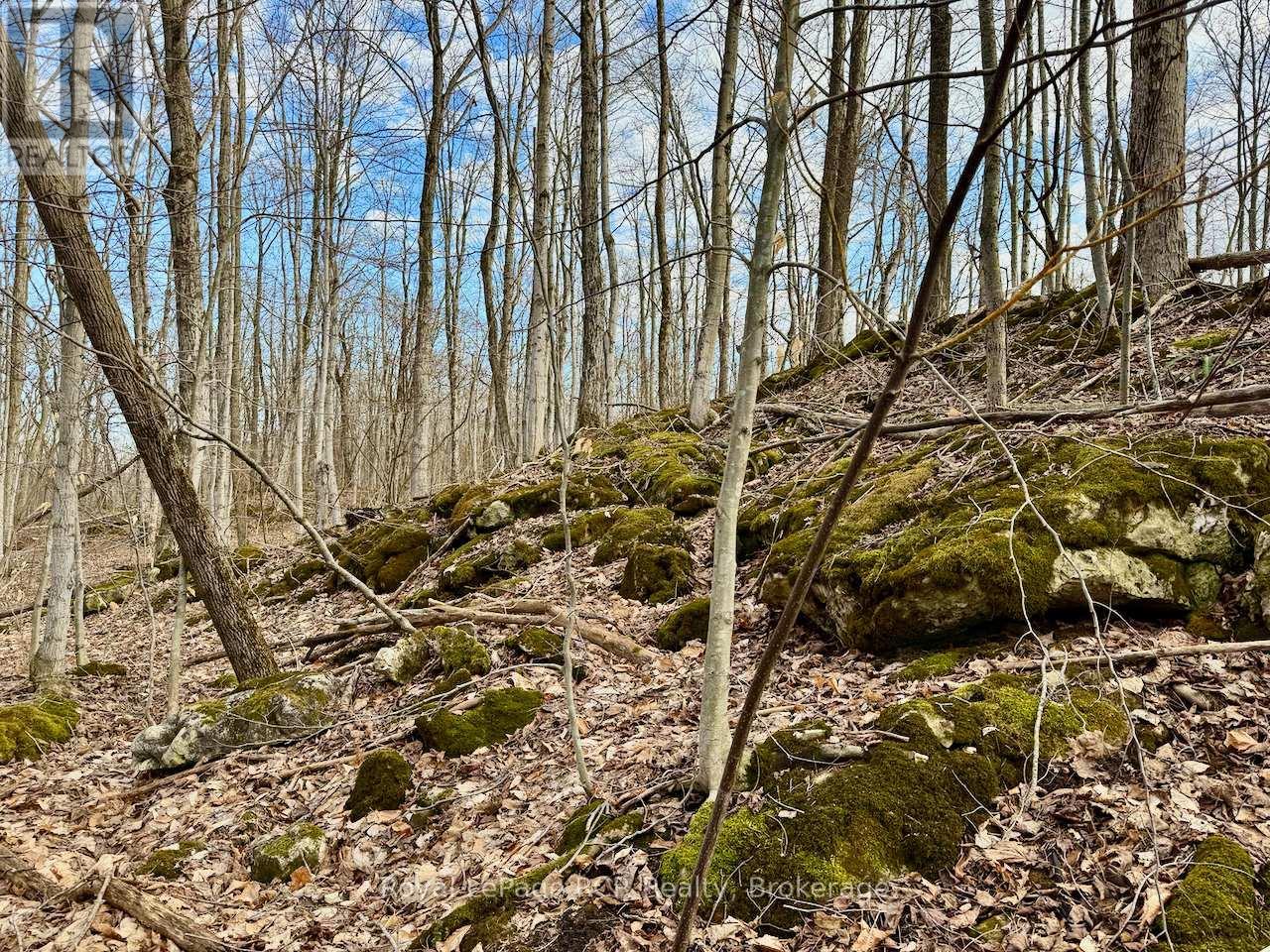 












PT LT 6 BRUCE ROAD 9 ROAD

,
Northern Bruce Peninsula,







Ontario
N0H1W0

