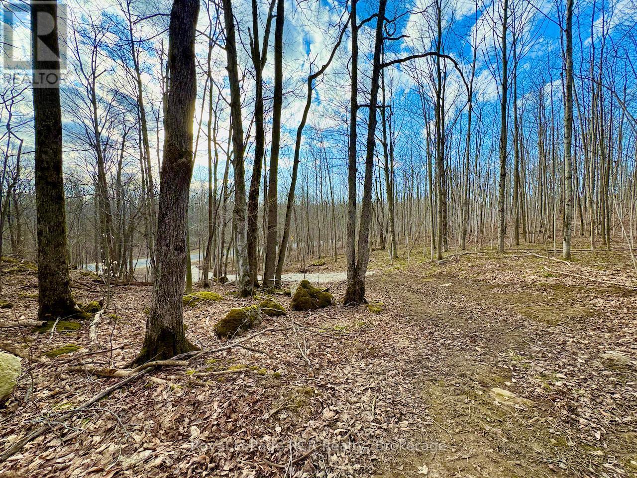 












PT LT 6 BRUCE ROAD 9 ROAD

,
Northern Bruce Peninsula,







Ontario
N0H1W0

