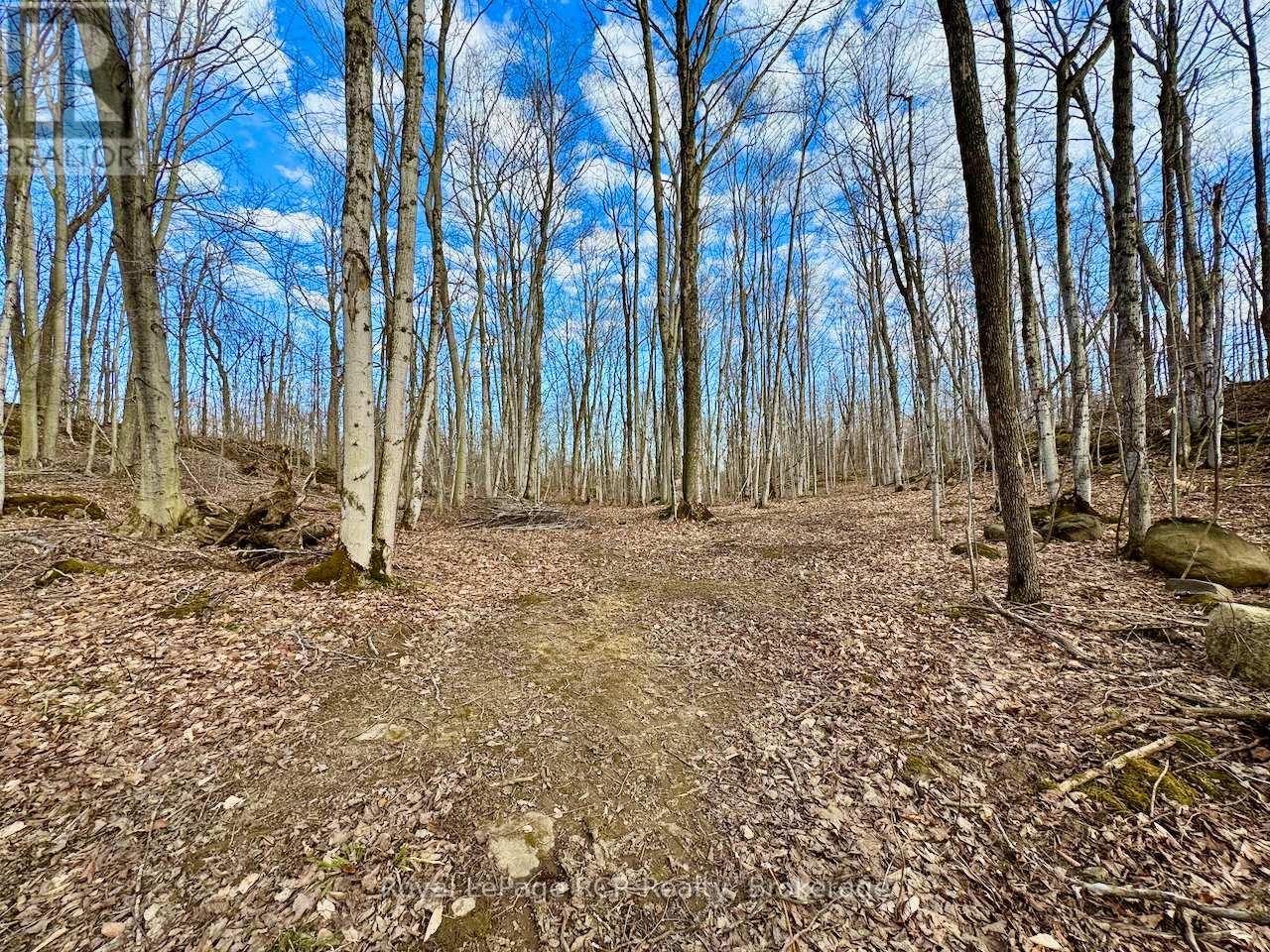 












PT LT 6 BRUCE ROAD 9 ROAD

,
Northern Bruce Peninsula,







Ontario
N0H1W0

