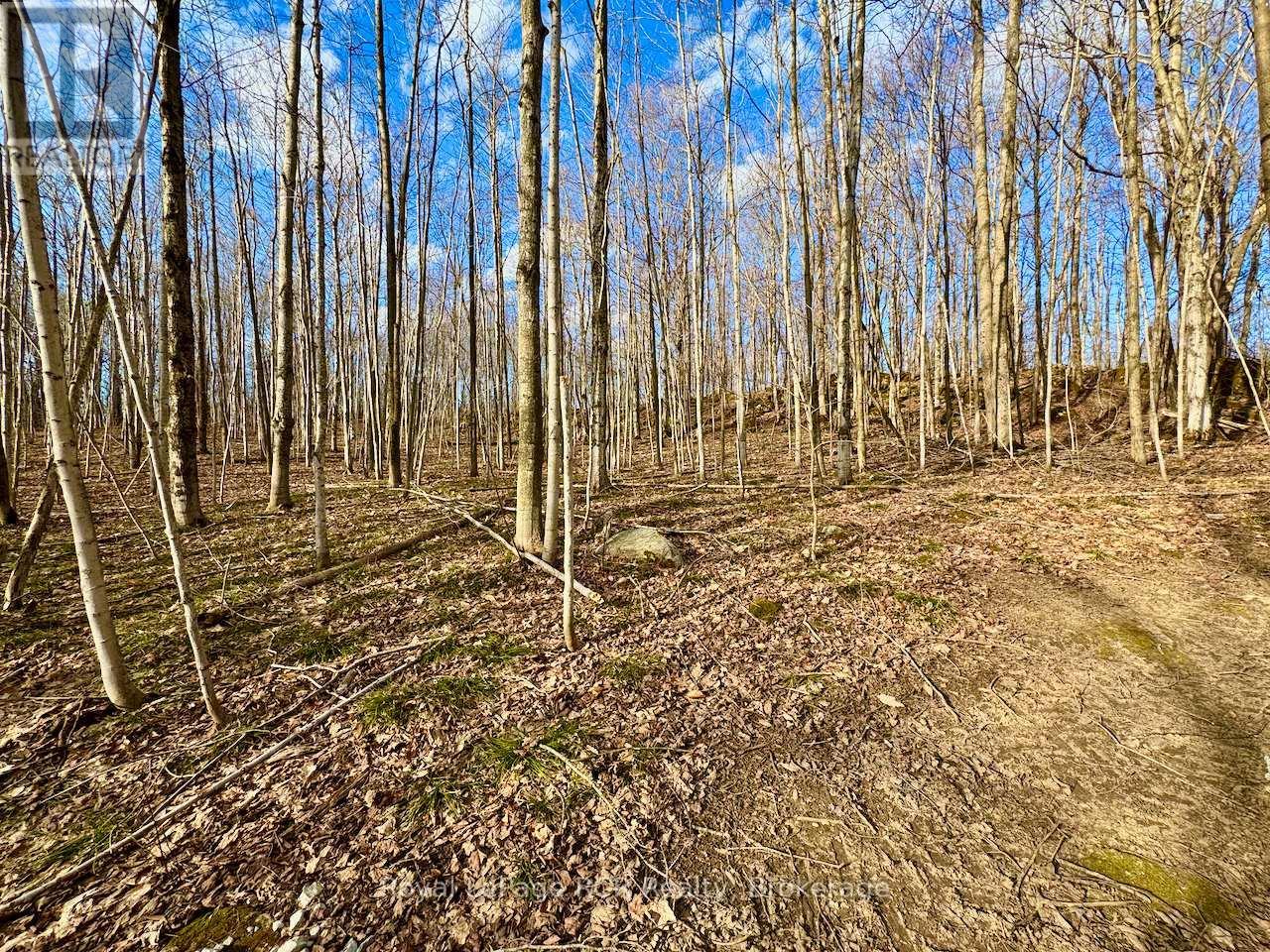 












PT LT 6 BRUCE ROAD 9 ROAD

,
Northern Bruce Peninsula,







Ontario
N0H1W0

