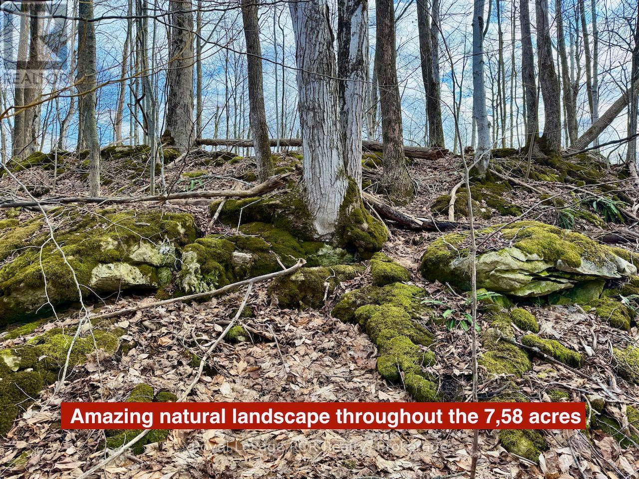 












PT LT 6 BRUCE ROAD 9 ROAD

,
Northern Bruce Peninsula,







Ontario
N0H1W0

