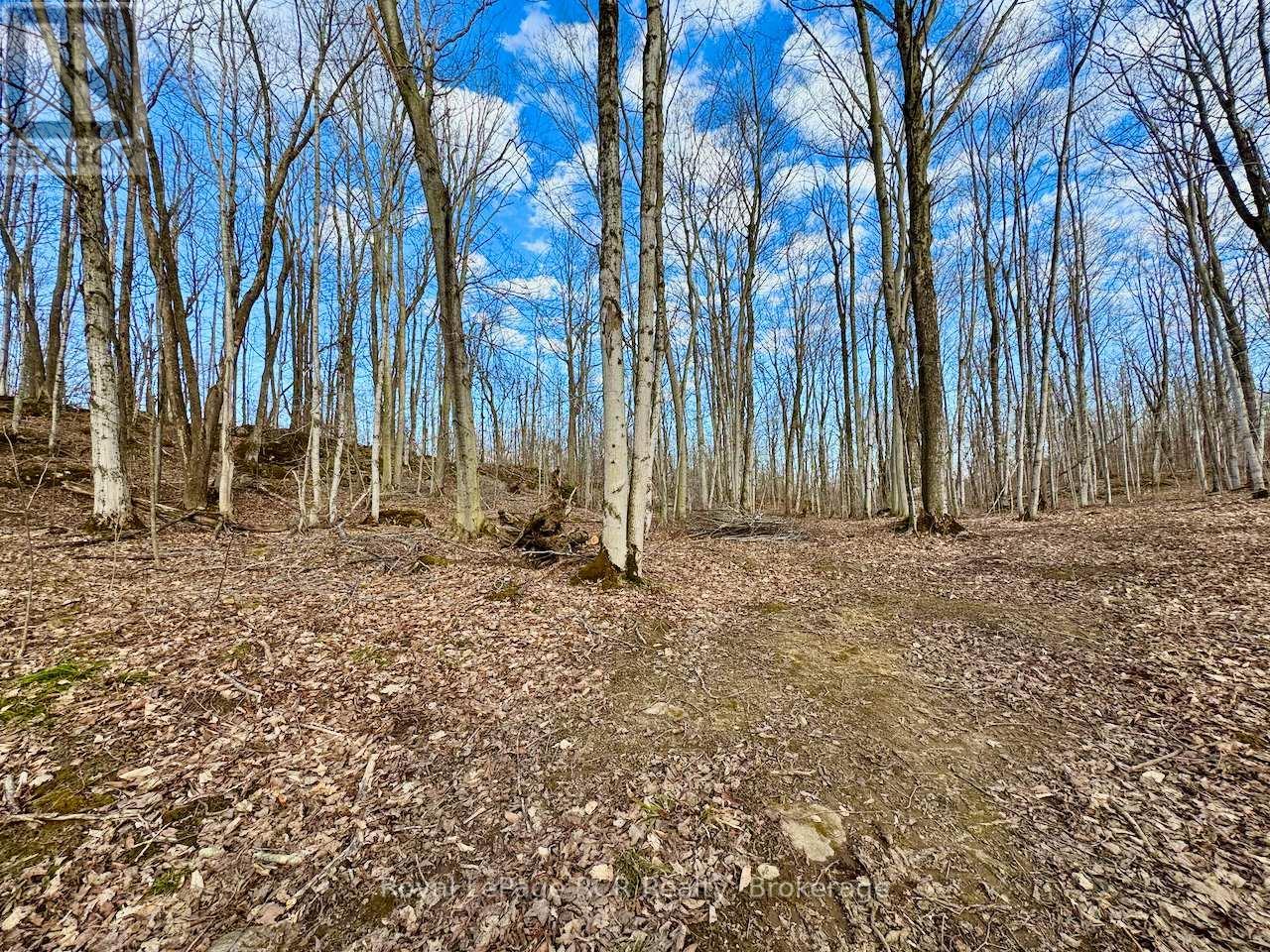 












PT LT 6 BRUCE ROAD 9 ROAD

,
Northern Bruce Peninsula,







Ontario
N0H1W0

