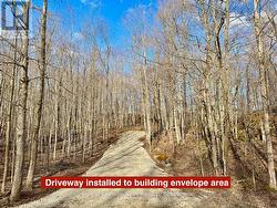 Driveway in early spring.