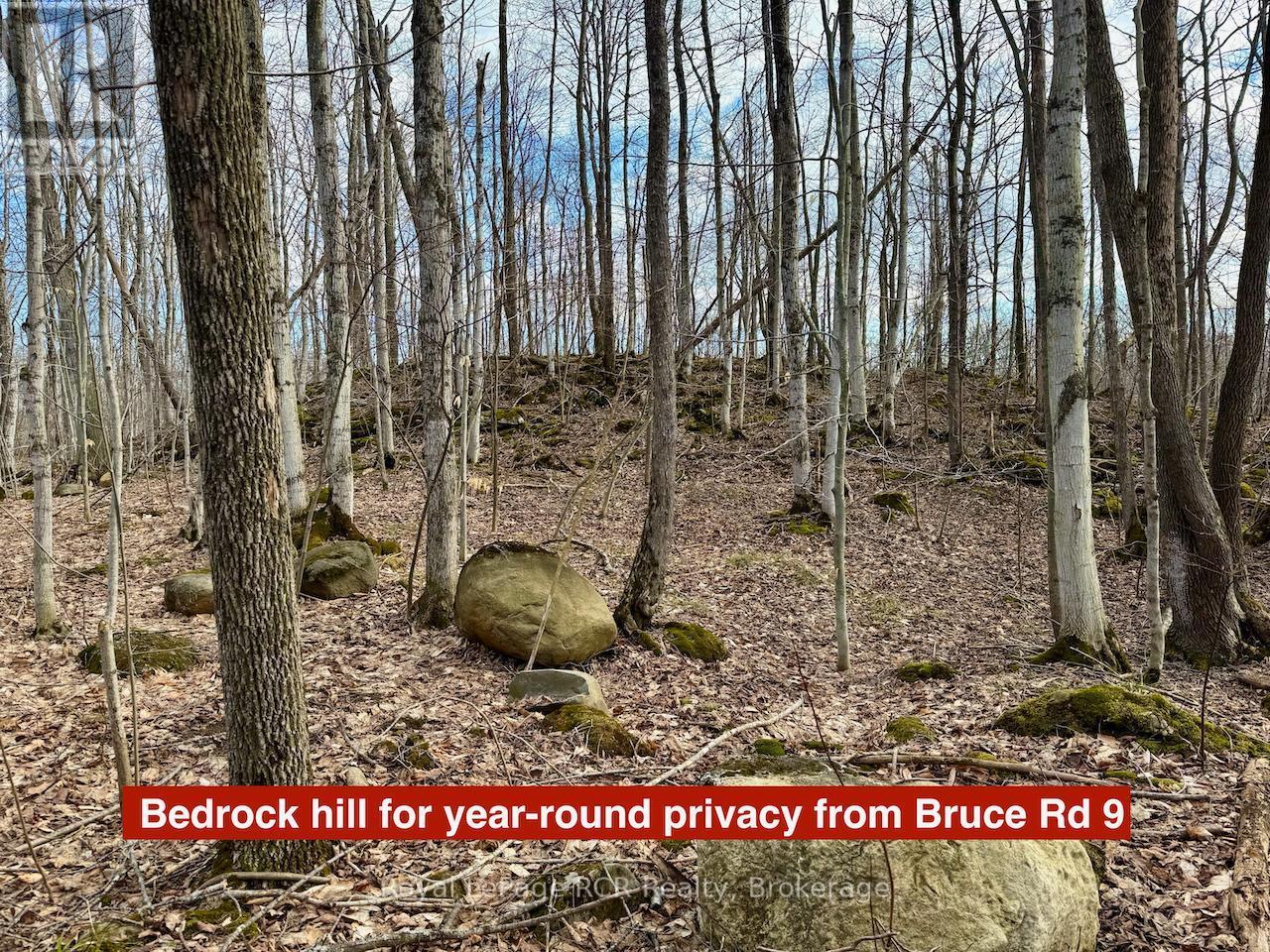 












PT LT 6 BRUCE ROAD 9 ROAD

,
Northern Bruce Peninsula,







Ontario
N0H1W0

