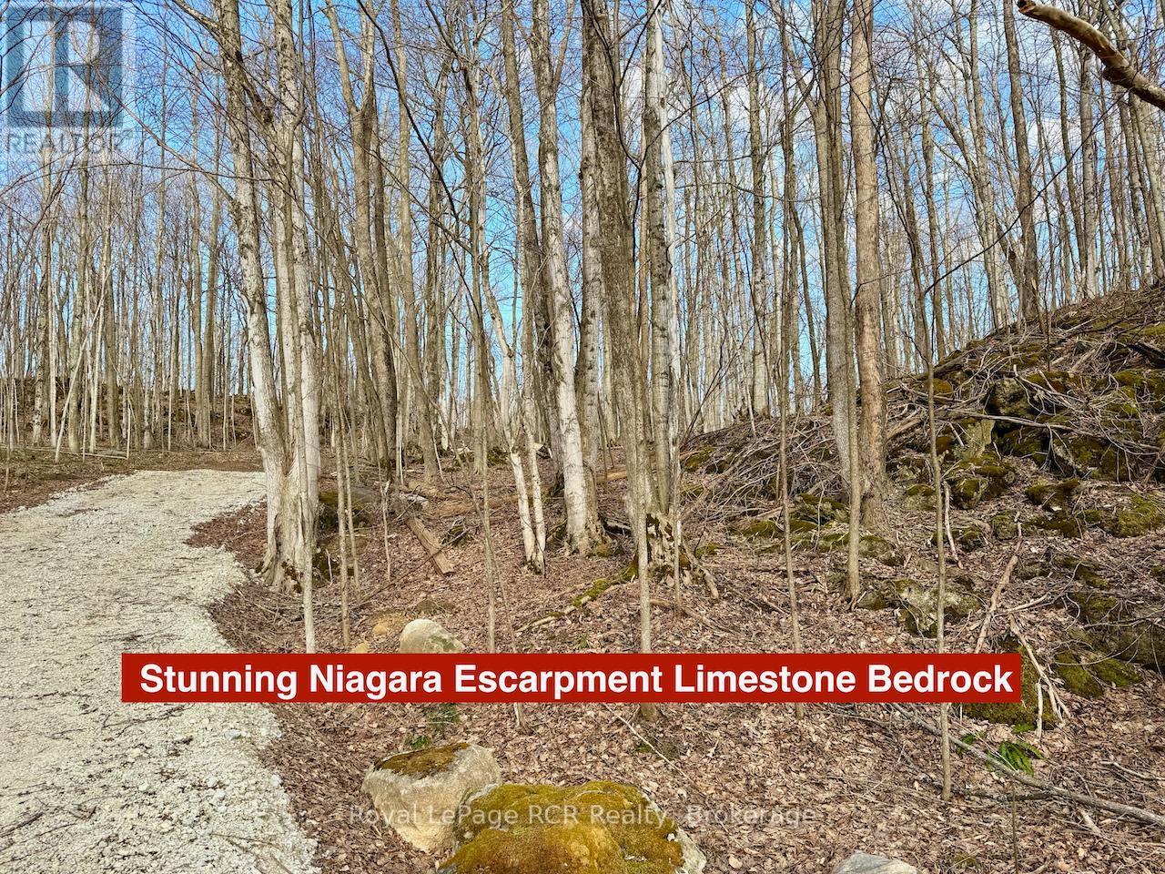












PT LT 6 BRUCE ROAD 9 ROAD

,
Northern Bruce Peninsula,







Ontario
N0H1W0

