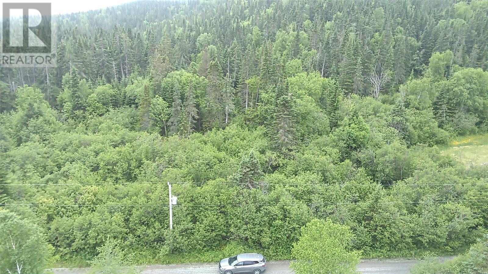 












Lot Bungalow Dr.

,
Spruce Brook,







Newfoundland & Labrador
A0L1G0

