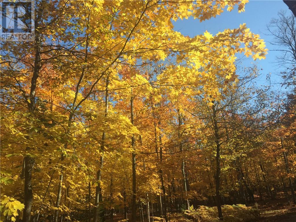 












Lot 36 Ice Lake Drive

,
Gore Bay, Manitoulin Island,







Ontario
P0P1H0

