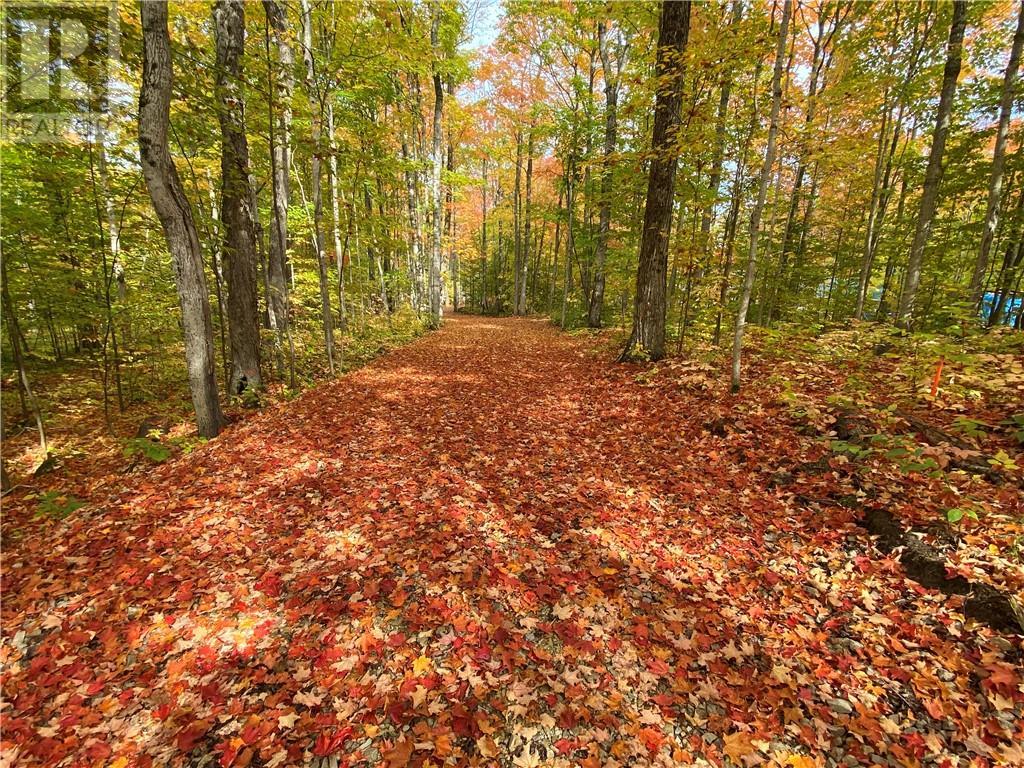 












Lot 36 Ice Lake Drive

,
Gore Bay, Manitoulin Island,







Ontario
P0P1H0

