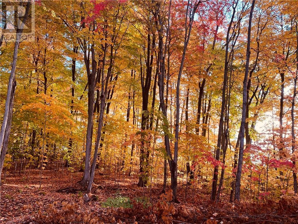 












Lot 36 Ice Lake Drive

,
Gore Bay, Manitoulin Island,







Ontario
P0P1H0


