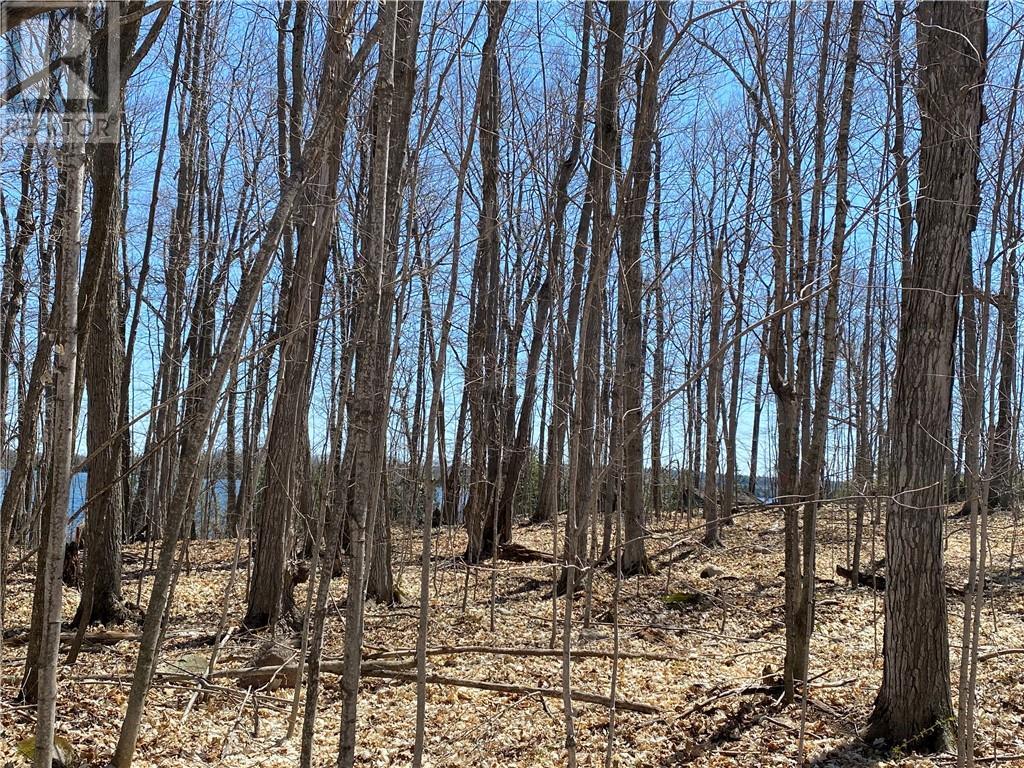 












Lot 36 Ice Lake Drive

,
Gore Bay, Manitoulin Island,







Ontario
P0P1H0

