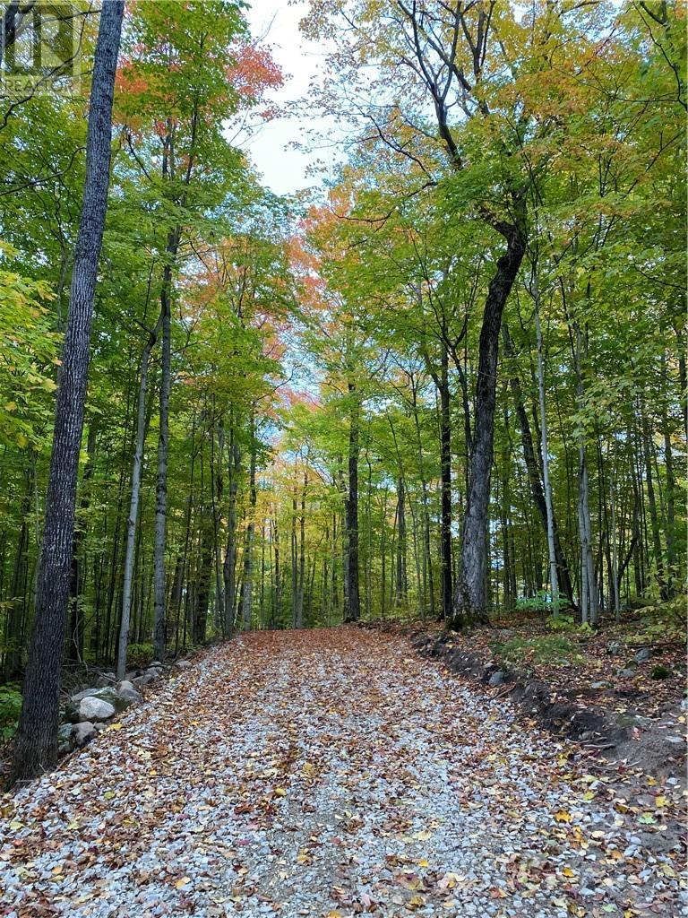 












Lot 36 Ice Lake Drive

,
Gore Bay, Manitoulin Island,







Ontario
P0P1H0

