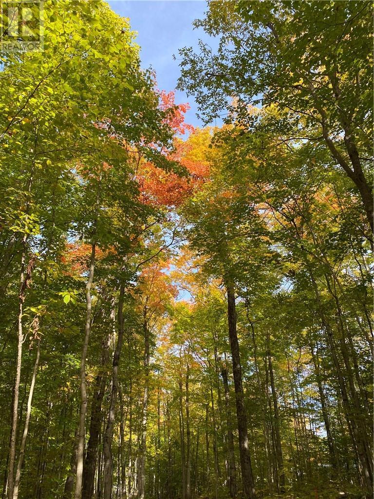 












Lot 36 Ice Lake Drive

,
Gore Bay, Manitoulin Island,







Ontario
P0P1H0

