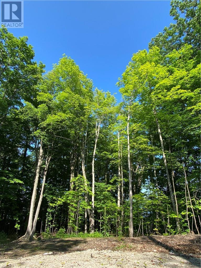 












Lot 36 Ice Lake Drive

,
Gore Bay, Manitoulin Island,







Ontario
P0P1H0

