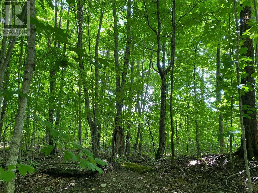 












Lot 36 Ice Lake Drive

,
Gore Bay, Manitoulin Island,







Ontario
P0P1H0

