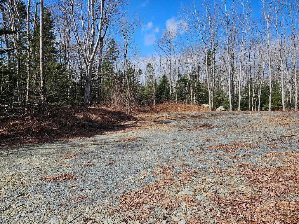 












Lot Highway 3

,
White Point,







NS
B0T 1K0

