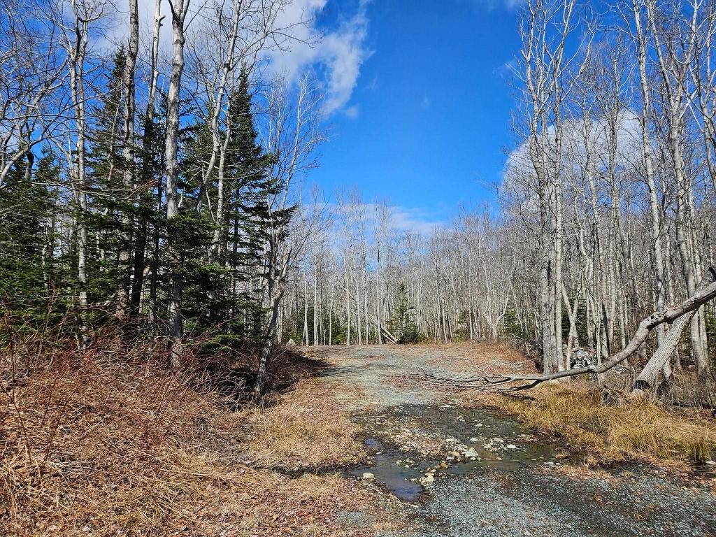 












Lot Highway 3

,
White Point,







NS
B0T 1K0

