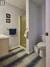 lower bathroom