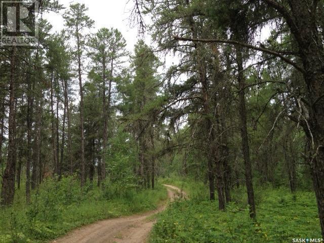 












Regional Park Lot 1-3

,
Hudson Bay Rm No. 394,







Saskatchewan
S0E0Y0

