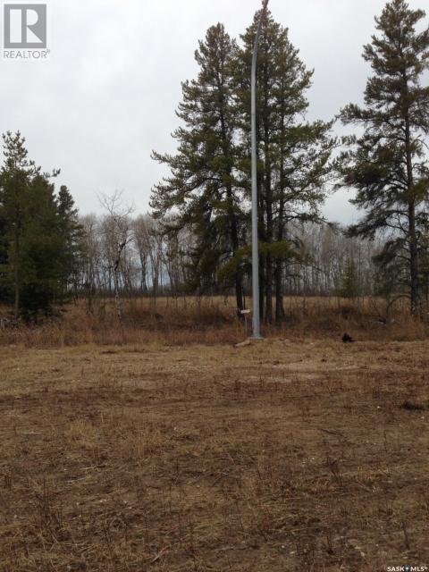 












Regional Park Lot 4-3

,
Hudson Bay Rm No. 394,







Saskatchewan
S0E0Y0

