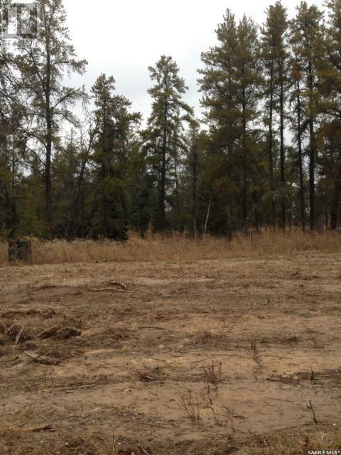 












Regional Park Lot 4-3

,
Hudson Bay Rm No. 394,







Saskatchewan
S0E0Y0

