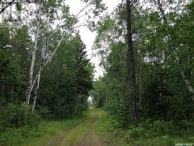 












Regional Park Lot 3-3

,
Hudson Bay Rm No. 394,







Saskatchewan
S0E0Y0

