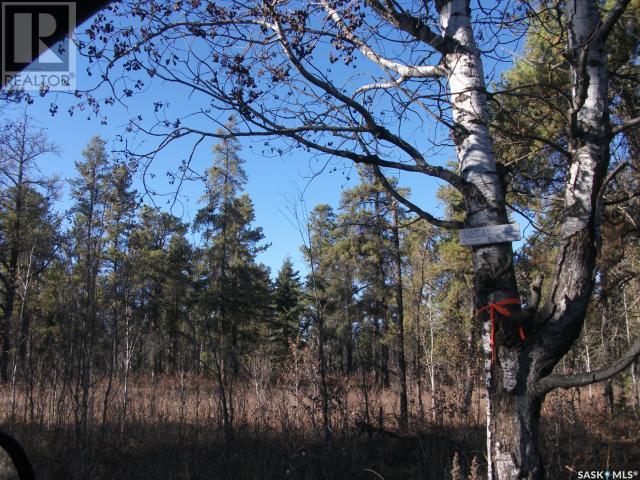 












Regional Park lot 5-3

,
Hudson Bay Rm No. 394,







Saskatchewan
S0E0Y0

