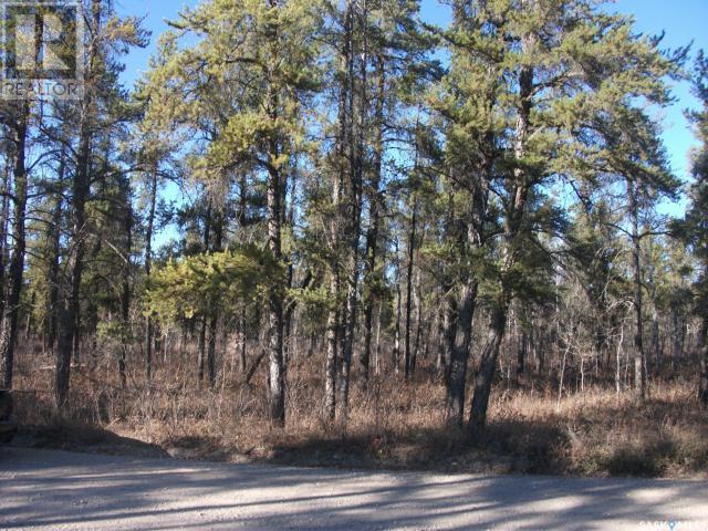 












Regional Park lot 5-3

,
Hudson Bay Rm No. 394,







Saskatchewan
S0E0Y0

