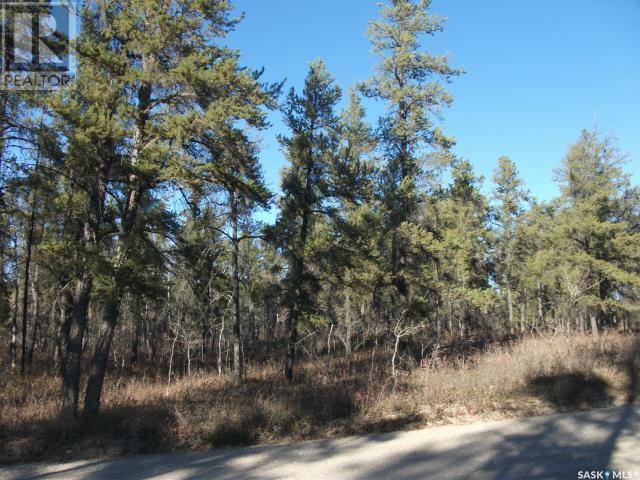












Regional Park lot 5-3

,
Hudson Bay Rm No. 394,







Saskatchewan
S0E0Y0

