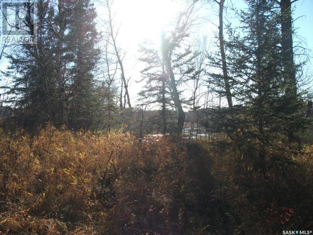 












Regional Park lot 5-3

,
Hudson Bay Rm No. 394,







Saskatchewan
S0E0Y0

